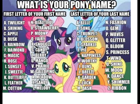 mlp slang|what is a boy that likes mlp.